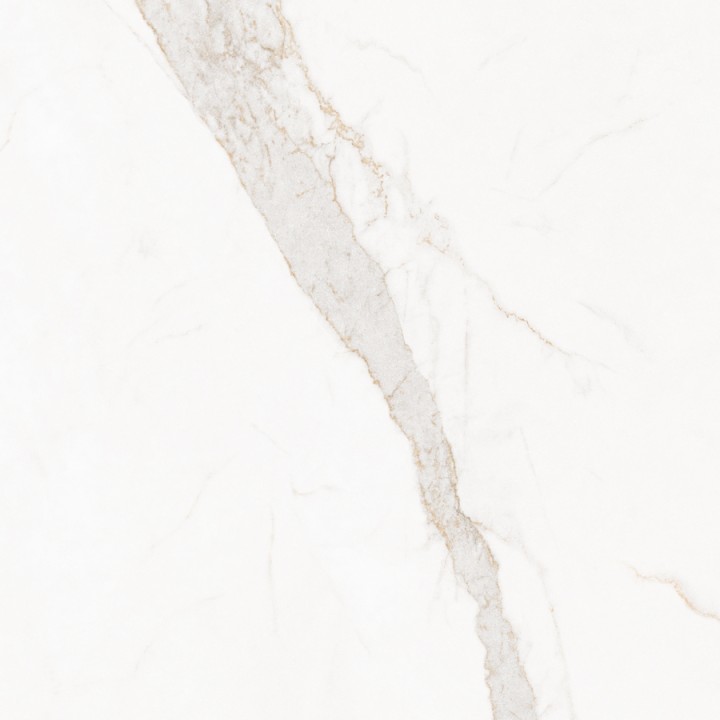 Матовый Living Ceramics Blanc Calacatta Gold Soft 120x120 — фото 4