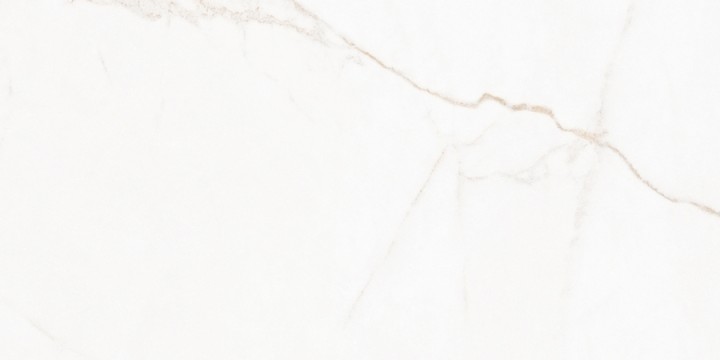 Матовый Living Ceramics Blanc Calacatta Gold Soft 45x90 — фото 10