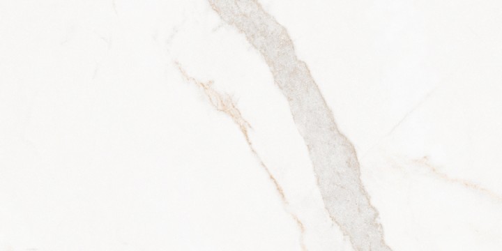 Матовый Living Ceramics Blanc Calacatta Gold Soft 45x90 — фото 13