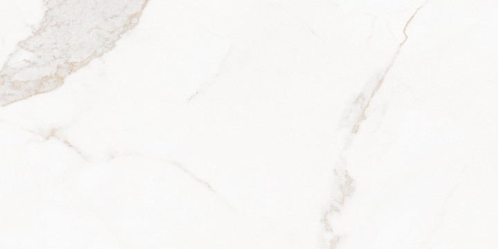 Матовый Living Ceramics Blanc Calacatta Gold Soft 60x120 — фото 5