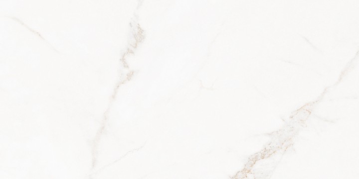 Матовый Living Ceramics Blanc Calacatta Gold Soft 60x120 — фото 12