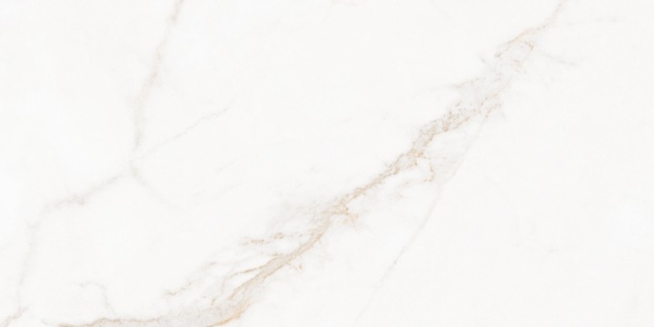 Матовый Living Ceramics Blanc Calacatta Gold Soft 60x120 — фото 16
