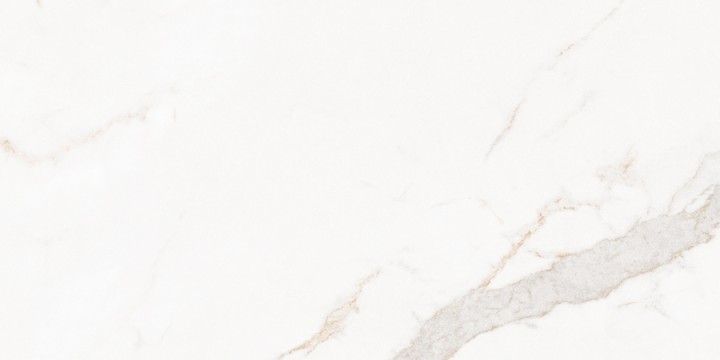Матовый Living Ceramics Blanc Calacatta Gold Soft 60x120 — фото 17