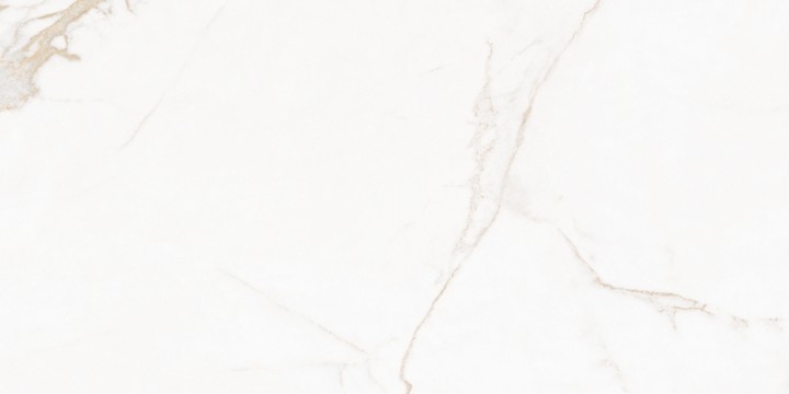 Матовый Living Ceramics Blanc Calacatta Gold Soft 60x120 — фото 23
