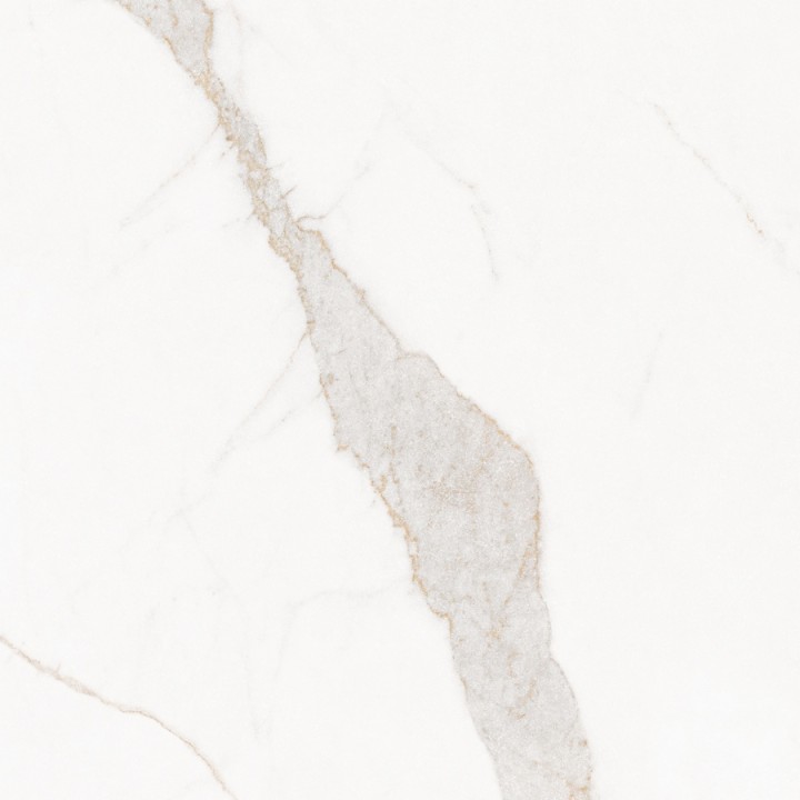 Матовый Living Ceramics Blanc Calacatta Gold Soft 90x90 — фото 10