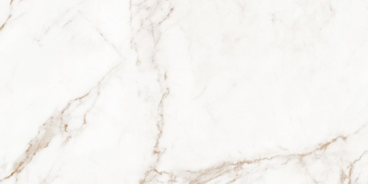 Матовый Living Ceramics Blanc Statuario Gold Soft 60x120 — фото 2
