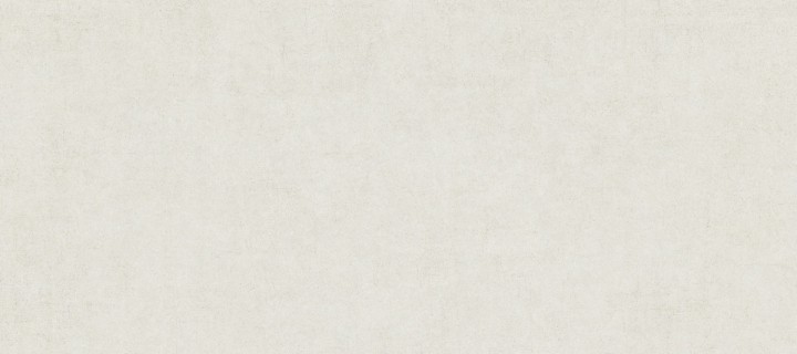 Матовый Living Ceramics Cuit Bone 6mm Soft 120x270 — фото 6