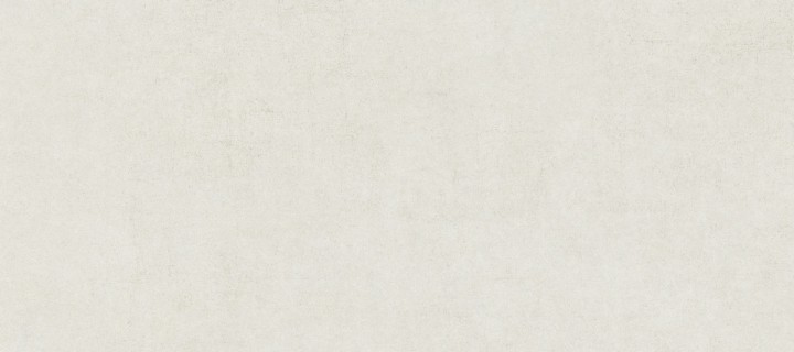 Матовый Living Ceramics Cuit Bone 6mm Soft 120x270 — фото 7