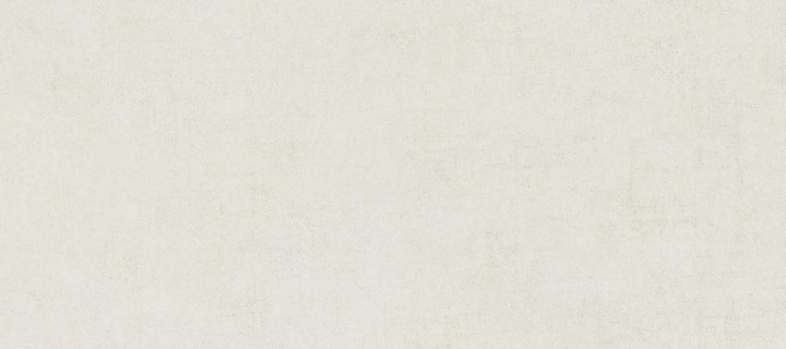 Матовый Living Ceramics Cuit Bone 6mm Soft 120x270 — фото 4