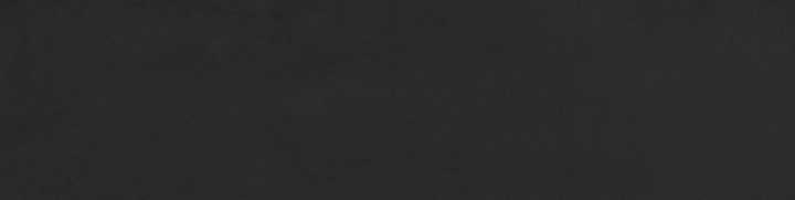 Настенная Living Ceramics Mayolica Black 8x30 — фото 6