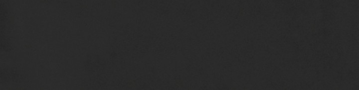 Настенная Living Ceramics Mayolica Black 8x30 — фото 8