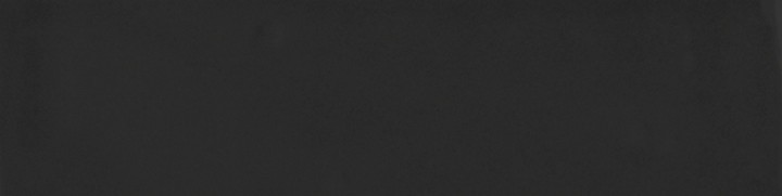 Настенная Living Ceramics Mayolica Black 8x30 — фото 2