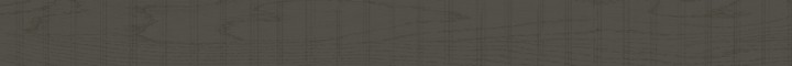Матовый Living Ceramics Rem Grey 10x120 — фото 10