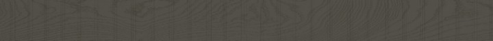 Матовый Living Ceramics Rem Grey 10x120 — фото 24