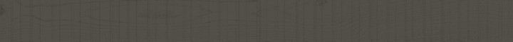 Матовый Living Ceramics Rem Grey 10x120 — фото 28