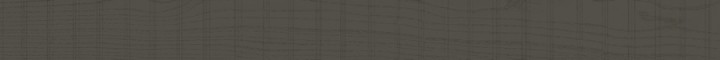 Матовый Living Ceramics Rem Grey 10x120 — фото 4