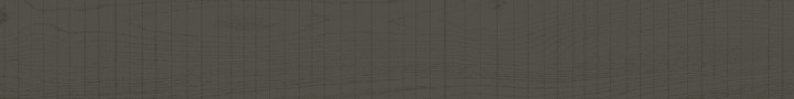 Матовый Living Ceramics Rem Grey 15x120 — фото 7