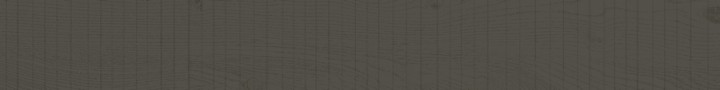 Матовый Living Ceramics Rem Grey 15x120 — фото 2