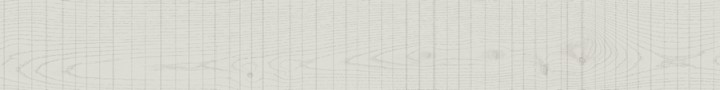 Матовый Living Ceramics Rem White 15x120 — фото 20