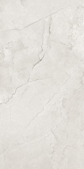 Полированный Maimoon Flority Ash Glossy 60х120 — фото 3