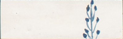 Декор Marazzi Italy M96T Rice Bianco dec Leaf Lux 5х15 — фото 4