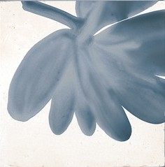 Декор Marazzi Italy M9JA Rice Bianco Decoro Blossom Lux 15х15 — фото 3