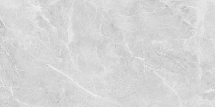 Матовый Neodom Ambassador Belvedere 60x120 Eva Grey Polished 60x120 — фото 5