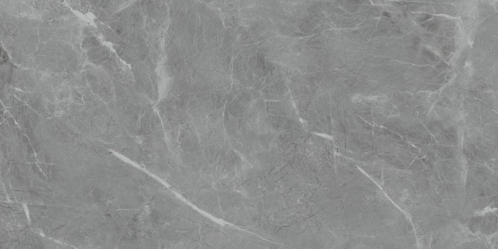 Матовый Neodom Ambassador Belvedere 60x120 Eva Gris Polished 60x120 — фото 5
