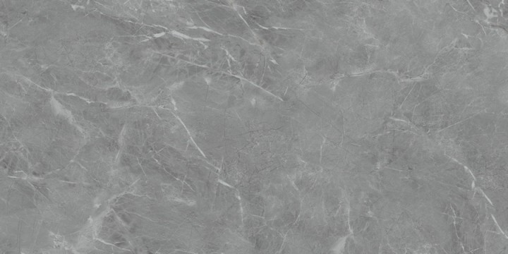 Матовый Neodom Ambassador Belvedere 60x120 Eva Gris Polished 60x120 — фото 2