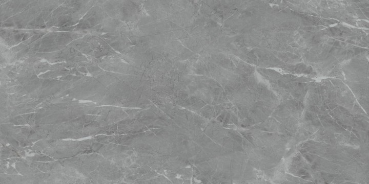 Матовый Neodom Ambassador Belvedere 60x120 Eva Gris Polished 60x120 — фото 3