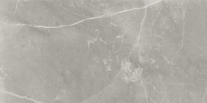 Полированный Neodom Supreme Fior di Bosco Polished 60x120 — фото 7