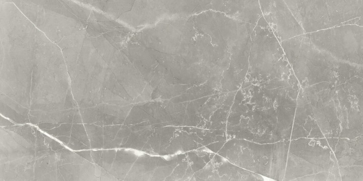 Полированный Neodom Supreme Fior di Bosco Polished 60x120 — фото 8