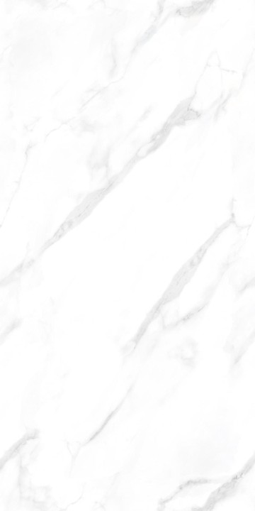Полированный NT Ceramic Marmo Statuario Endless NTT99506P 60x120 — фото 11
