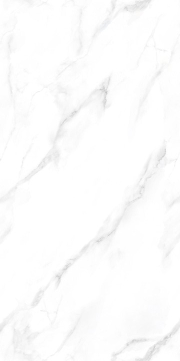 Полированный NT Ceramic Marmo Statuario Endless NTT99506P 60x120 — фото 12