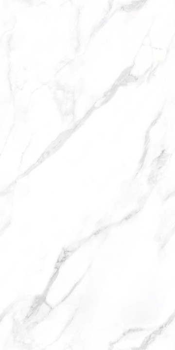 Полированный NT Ceramic Marmo Statuario Endless NTT99506P 60x120 — фото 4