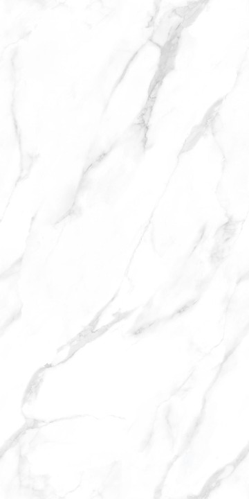 Полированный NT Ceramic Marmo Statuario Endless NTT99506P 60x120 — фото 6