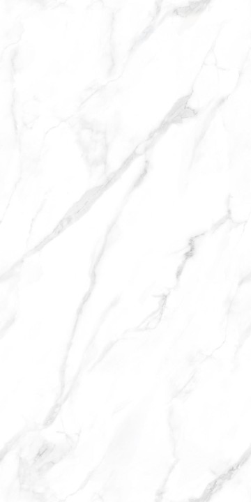 Полированный NT Ceramic Marmo Statuario Endless NTT99506P 60x120 — фото 9