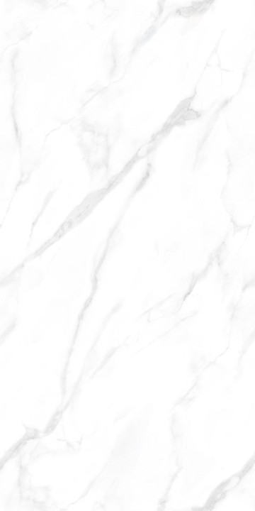 Полированный NT Ceramic Marmo Statuario Endless NTT99506P 60x120 — фото 10