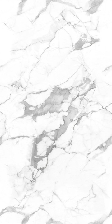 Полированный NT Ceramic Marmo Callacata Endless NTT99507P 60x120 — фото 3