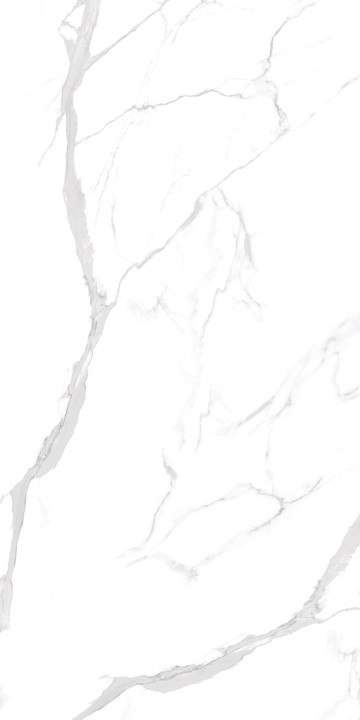 Полированный NT Ceramic Marmo Statuario Ultra White NTT99512M 60x120 — фото 8