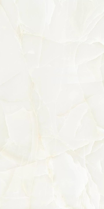 Полированный NT Ceramic Onyx Predo NTT99504P 60x120 — фото 4