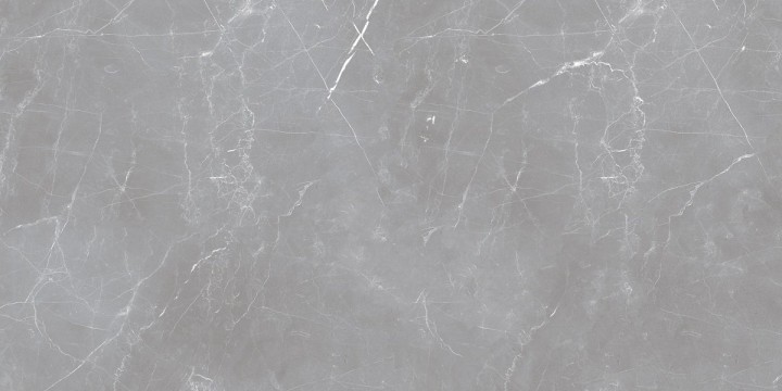 Матовый Ocean Ceramic Iran 20 mm Керамогранит Arion Gray Dark 61х121 — фото 3