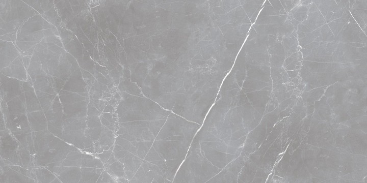 Матовый Ocean Ceramic Iran 20 mm Керамогранит Arion Gray Dark 61х121 — фото 4