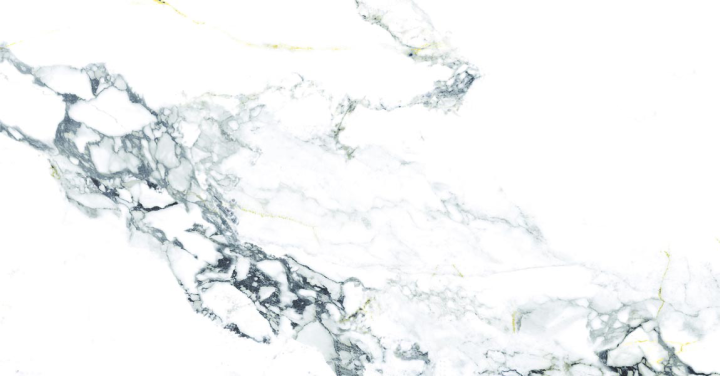 Матовый Ocean Ceramic Керамический гранит 60*120 Эксклюзив Керамогранит Element Calacutta Matt 60х120 — фото 4