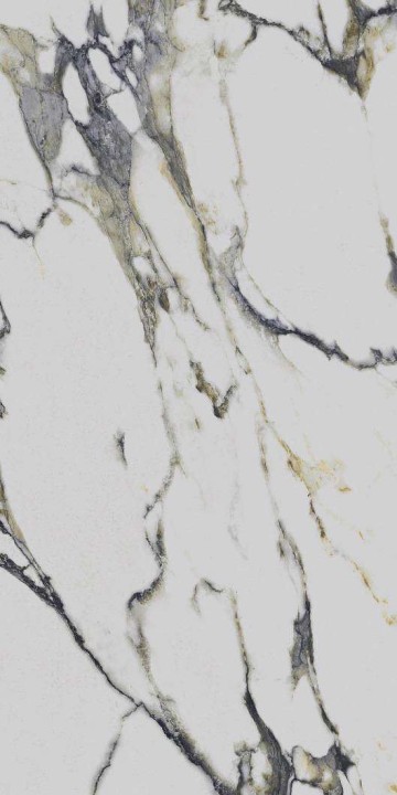 Полированный PrimaVera Tile Керамогранит Керамогранит 120x60 Polished Fantasy Mix Polished — фото 5