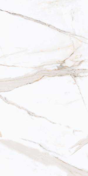 PrimaVera Tile Керамогранит Керамогранит 120x60 Polished Regal Carara Полированный — фото 3