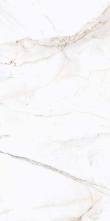 PrimaVera Tile Керамогранит Керамогранит 120x60 Polished Regal Carara Полированный — фото 4
