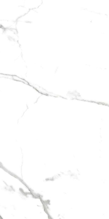 PrimaVera Tile Керамогранит Керамогранит 120x60 Polished Salvatore Полированный — фото 2