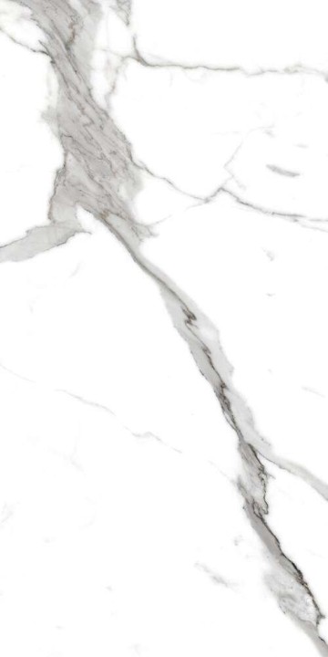 PrimaVera Tile Керамогранит Керамогранит 120x60 Polished Salvatore Полированный — фото 3
