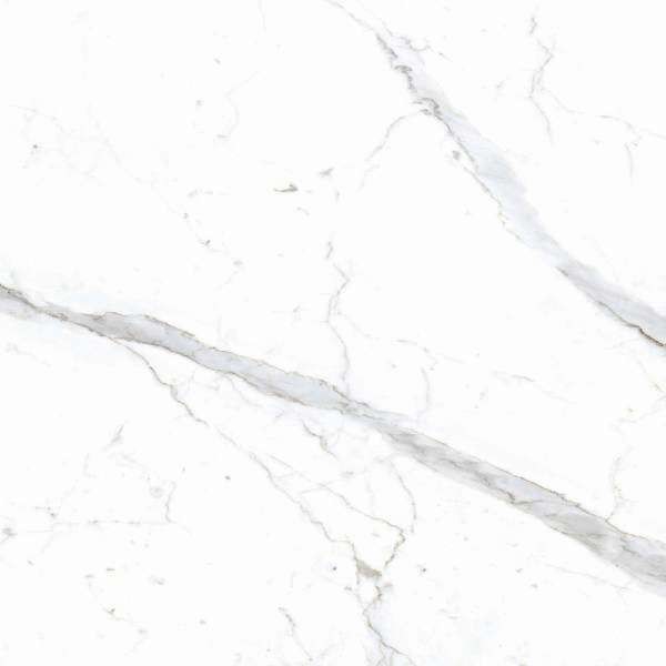 PrimaVera Tile Керамогранит Керамогранит 60x60 Матовый Dario Matt — фото 3